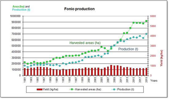 Evolution of fonio production since 1981